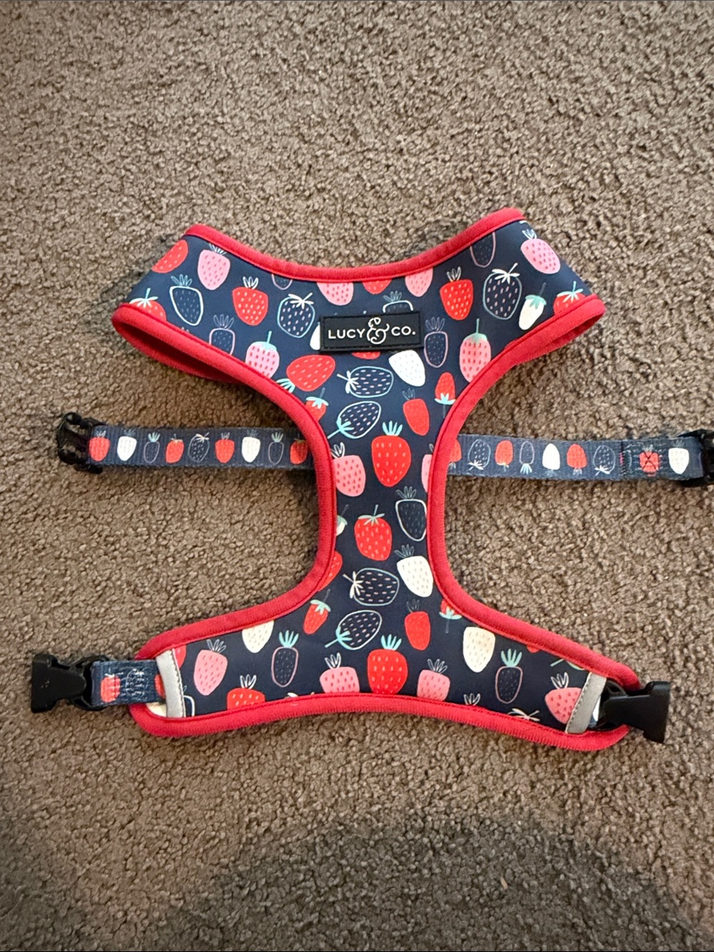Lucy & Co. Strawberry Print Dog Harness in Navy and Red reversible size large